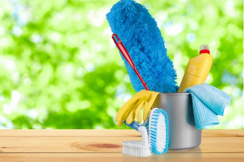 Professional cleaning team preparing a spotless home