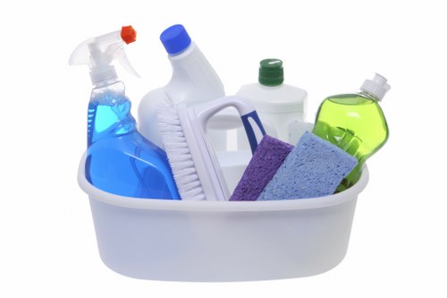 Clean and organized living room with professional cleaning