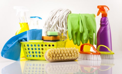 Various oven cleaning products and natural ingredients on a countertop