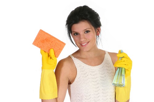 Cleaning supplies and equipment used by professional domestic cleaners