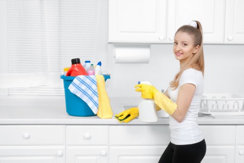 Professional cleaning gutters