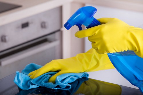 Oven liner protecting the appliance from spills and stains