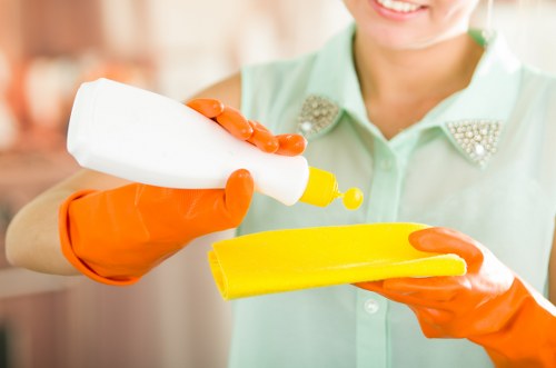 Professional technician cleaning an oven with specialized equipment