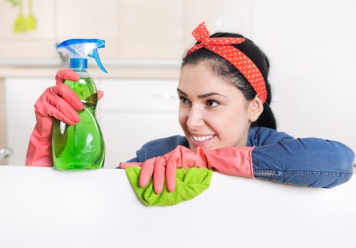 Professional cleaner sanitizing a modern kitchen