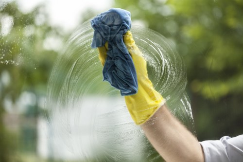 Steam cleaning process for deep rug cleaning