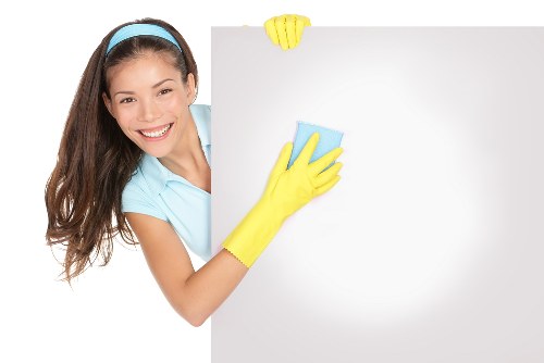 Professional cleaning team at work