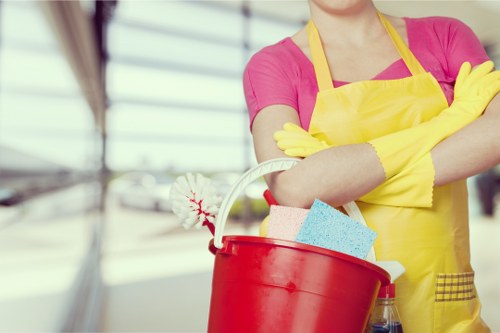 Eco-friendly cleaning products being used