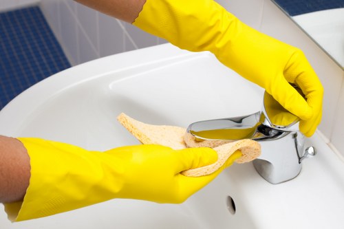 Eco-friendly cleaning solutions on a countertop